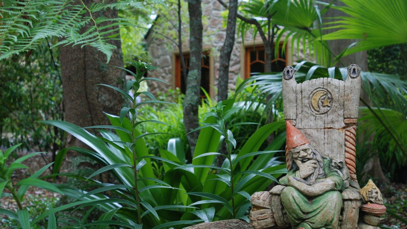 Chiefwizard at Witches Falls Cottages