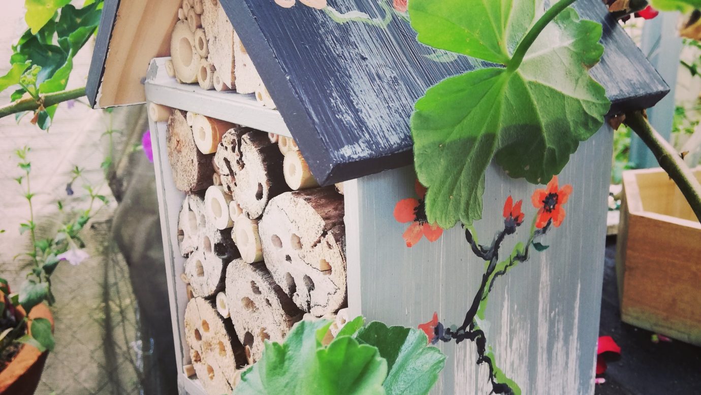 Cherry blossom design nesting habitat