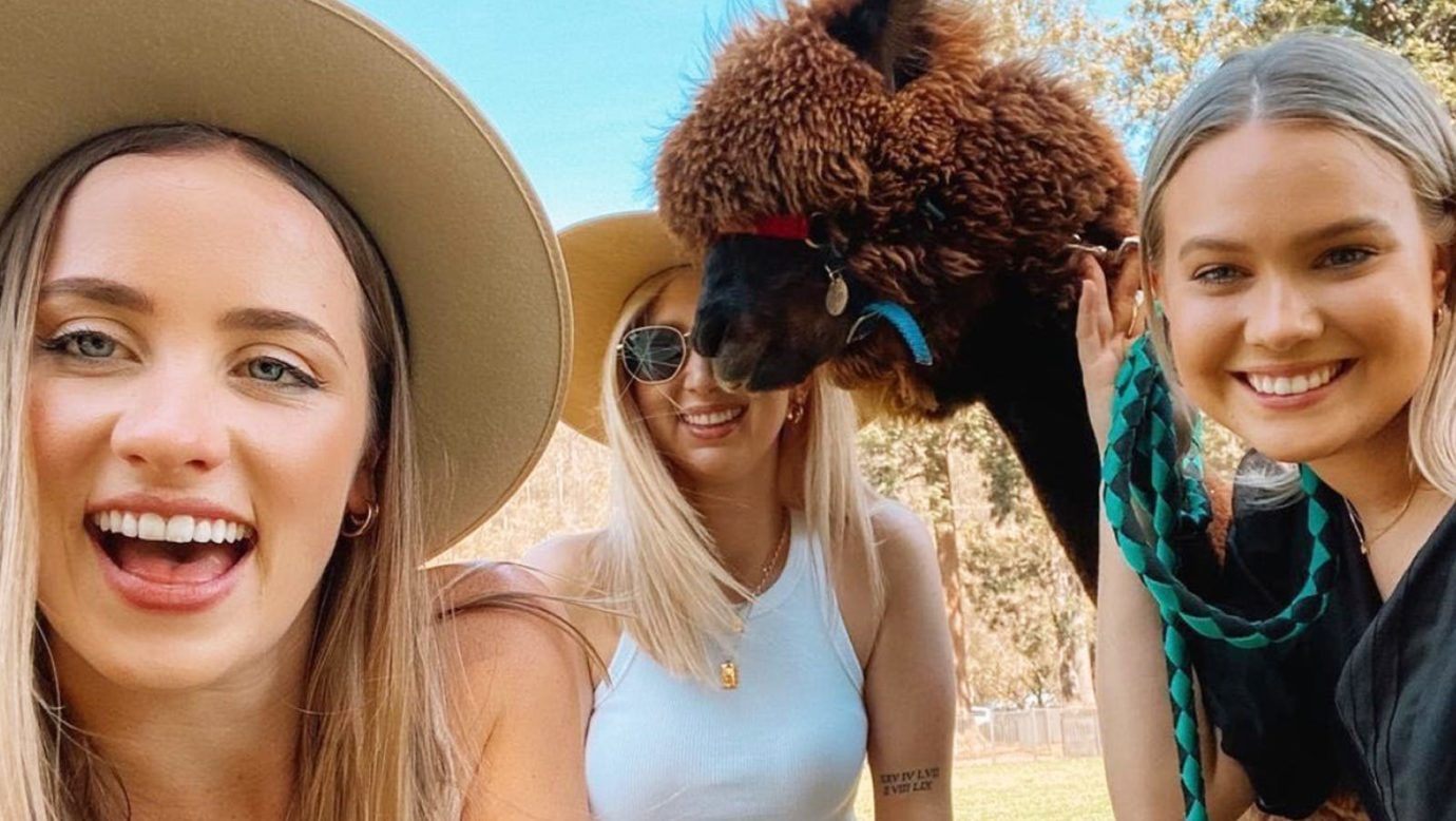 Girls day out at Mountview Alpaca Farm