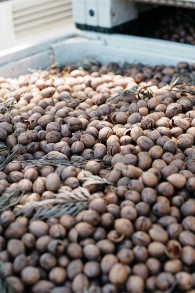 Beaudesert & Kooralbyn Food-1440x960