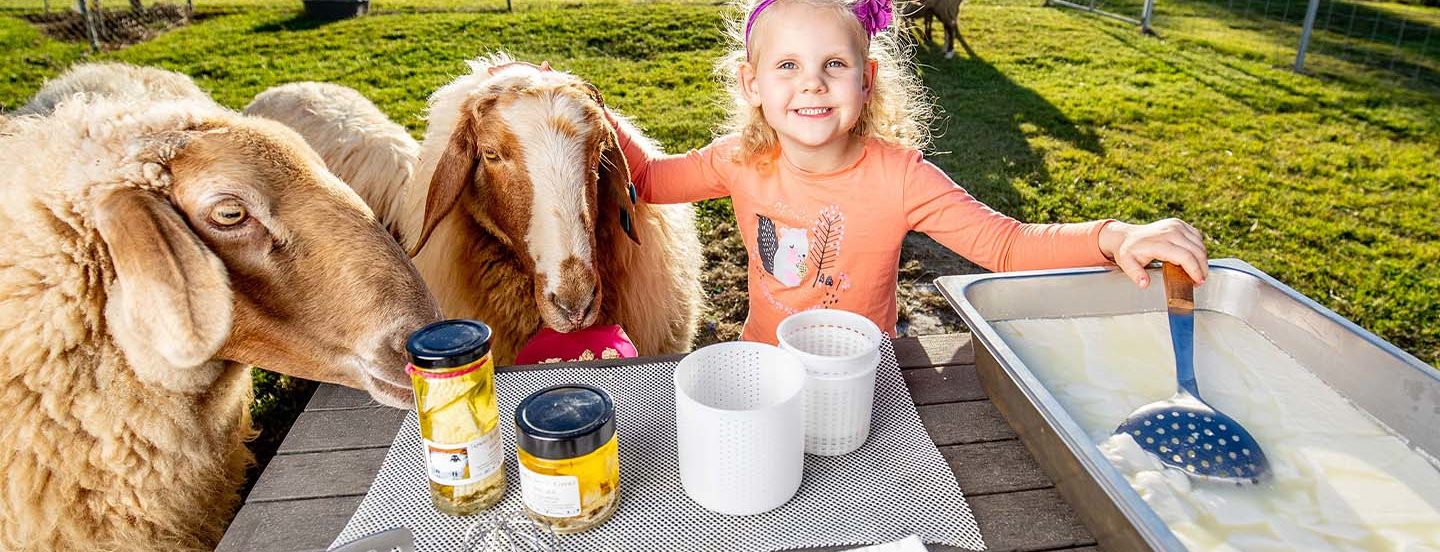 Beaudesert & Kooralbyn Header-1440x960