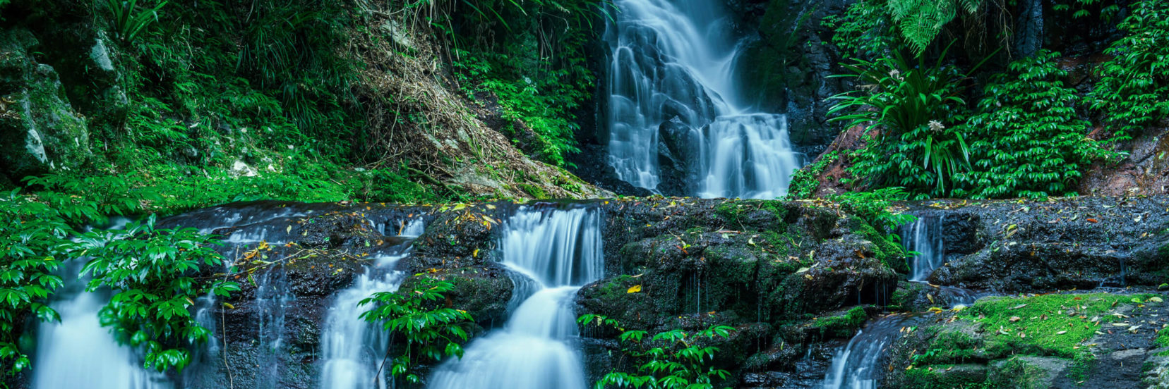 Discover ExploreParks&Nature