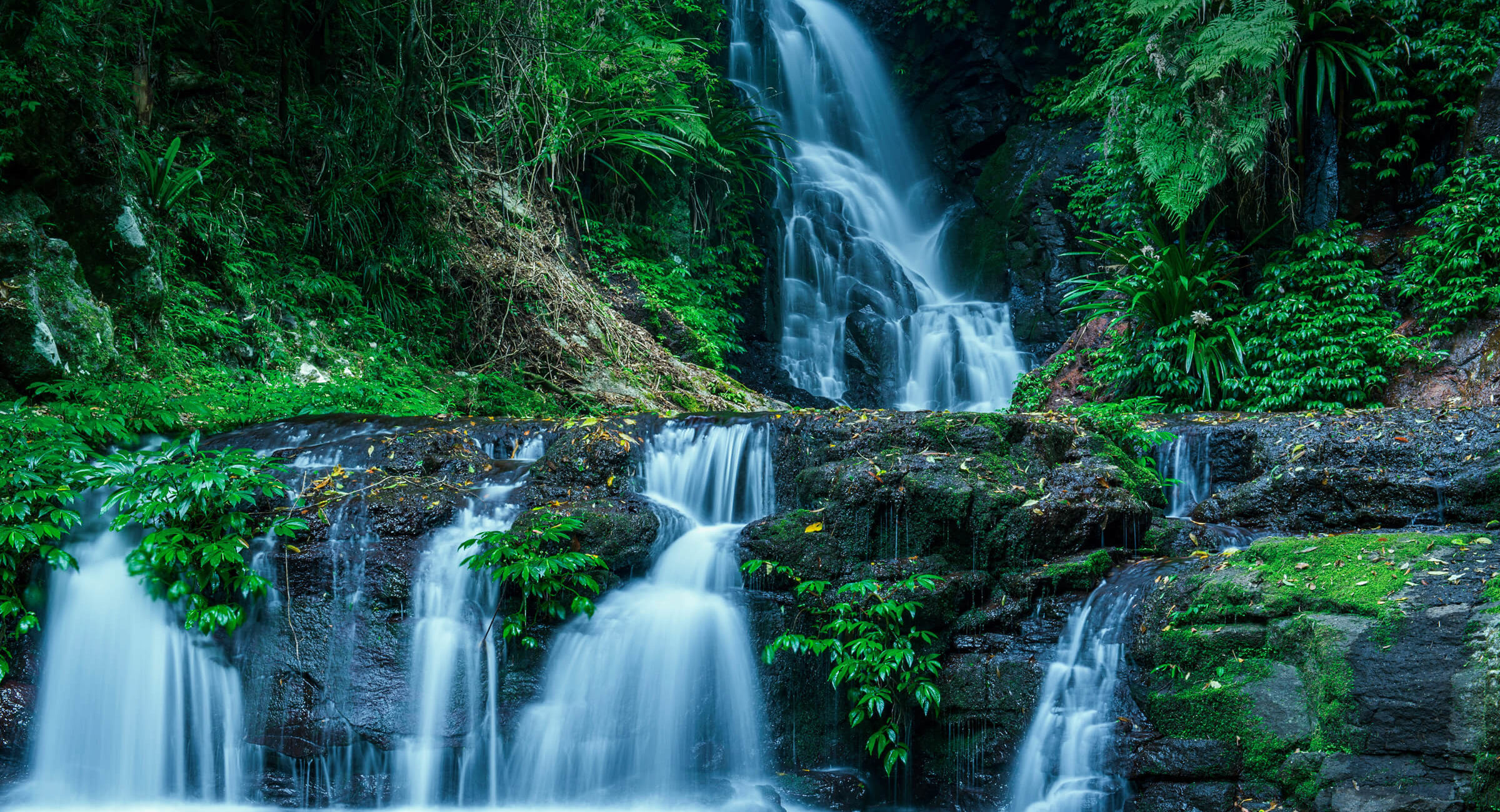 Discover ExploreParks&Nature