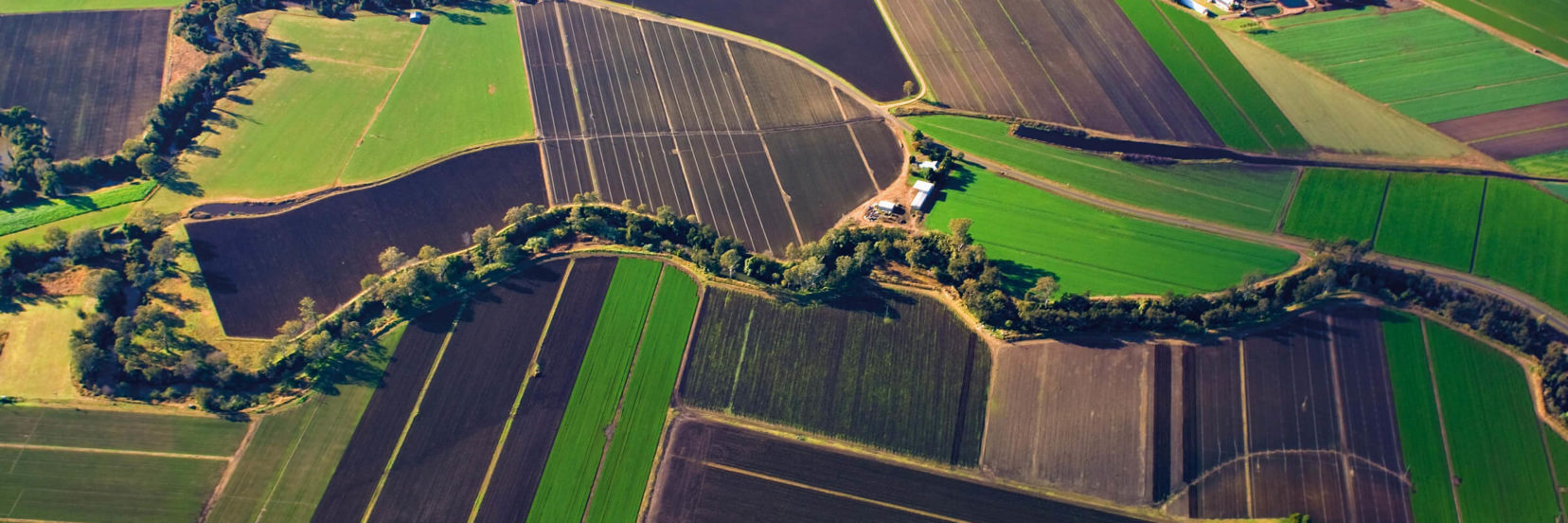 Farm Gates & Local Producers