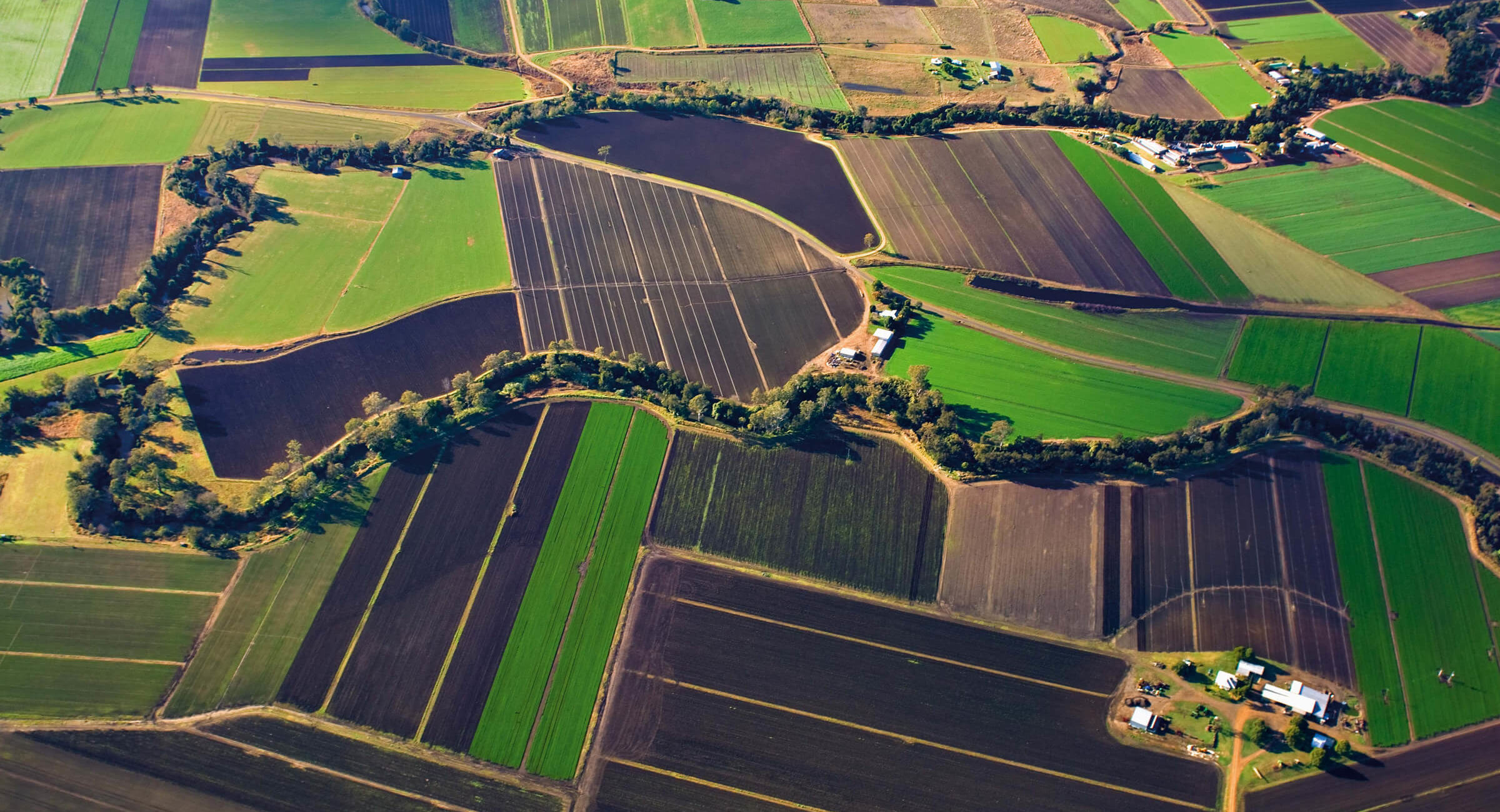 Farm Gates & Local Producers