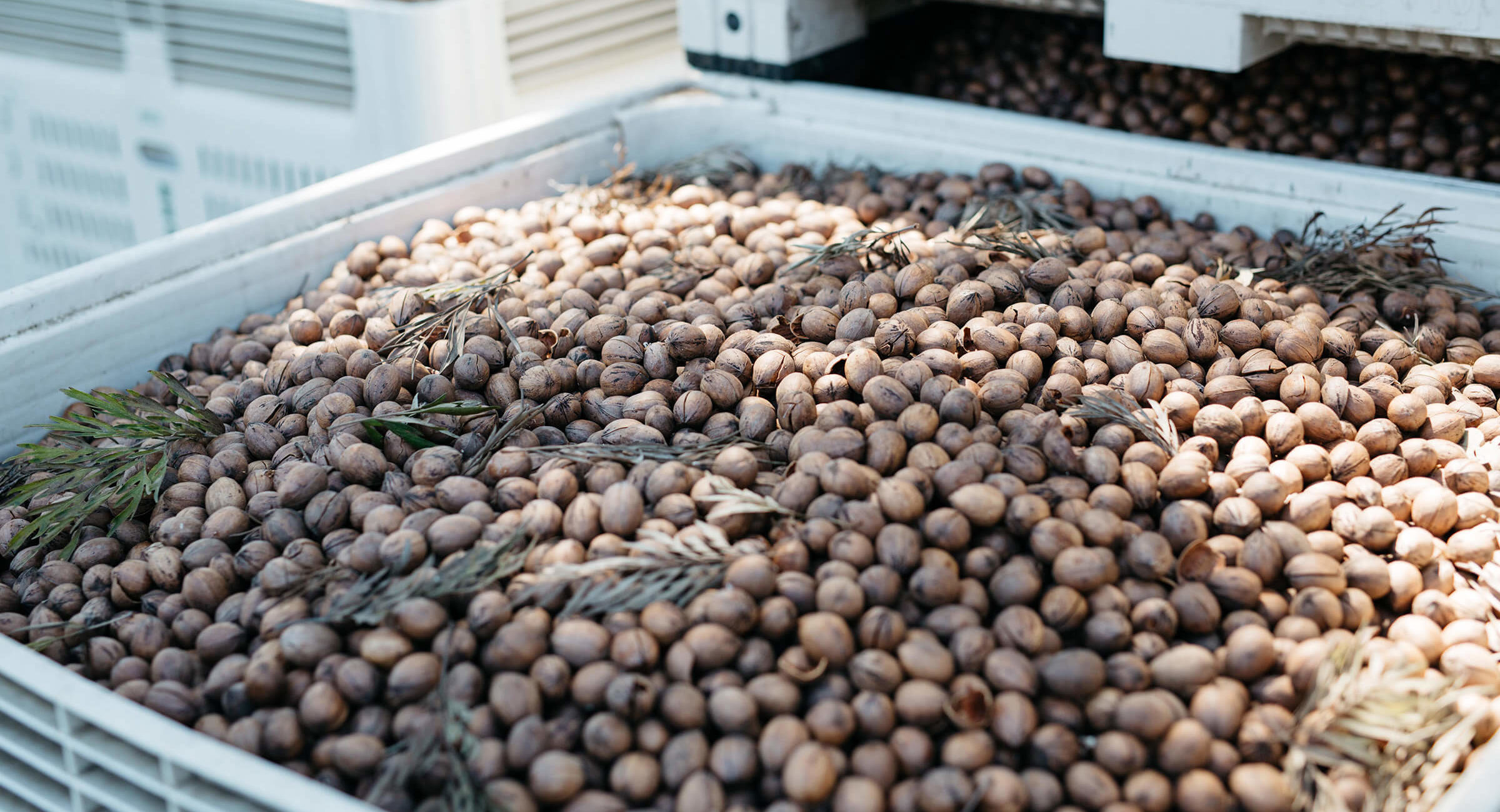 Beaudesert&K Header Food&D