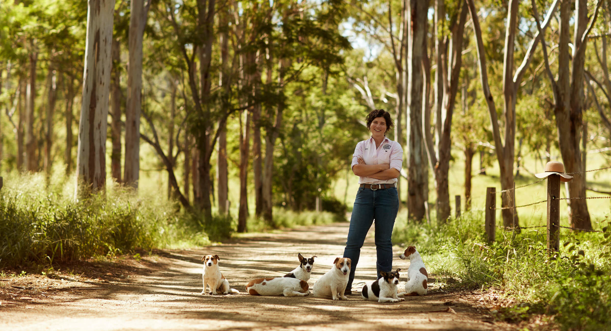 LostWorld Header Accom