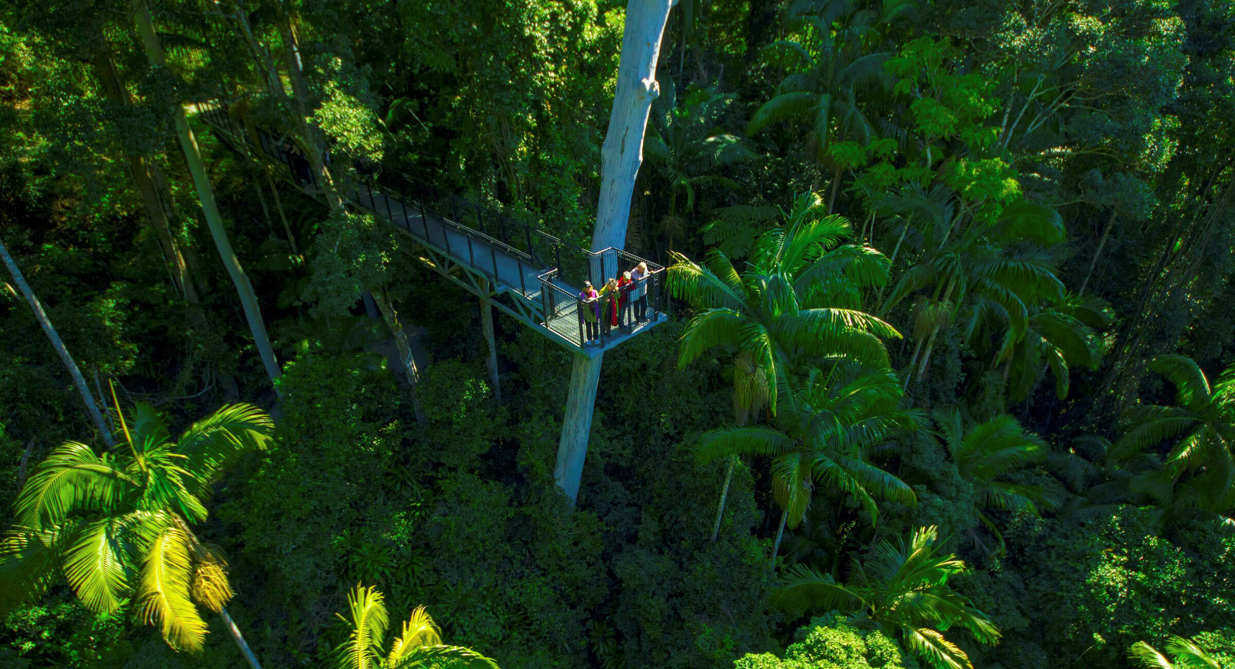 TambourineMt Header Experiences