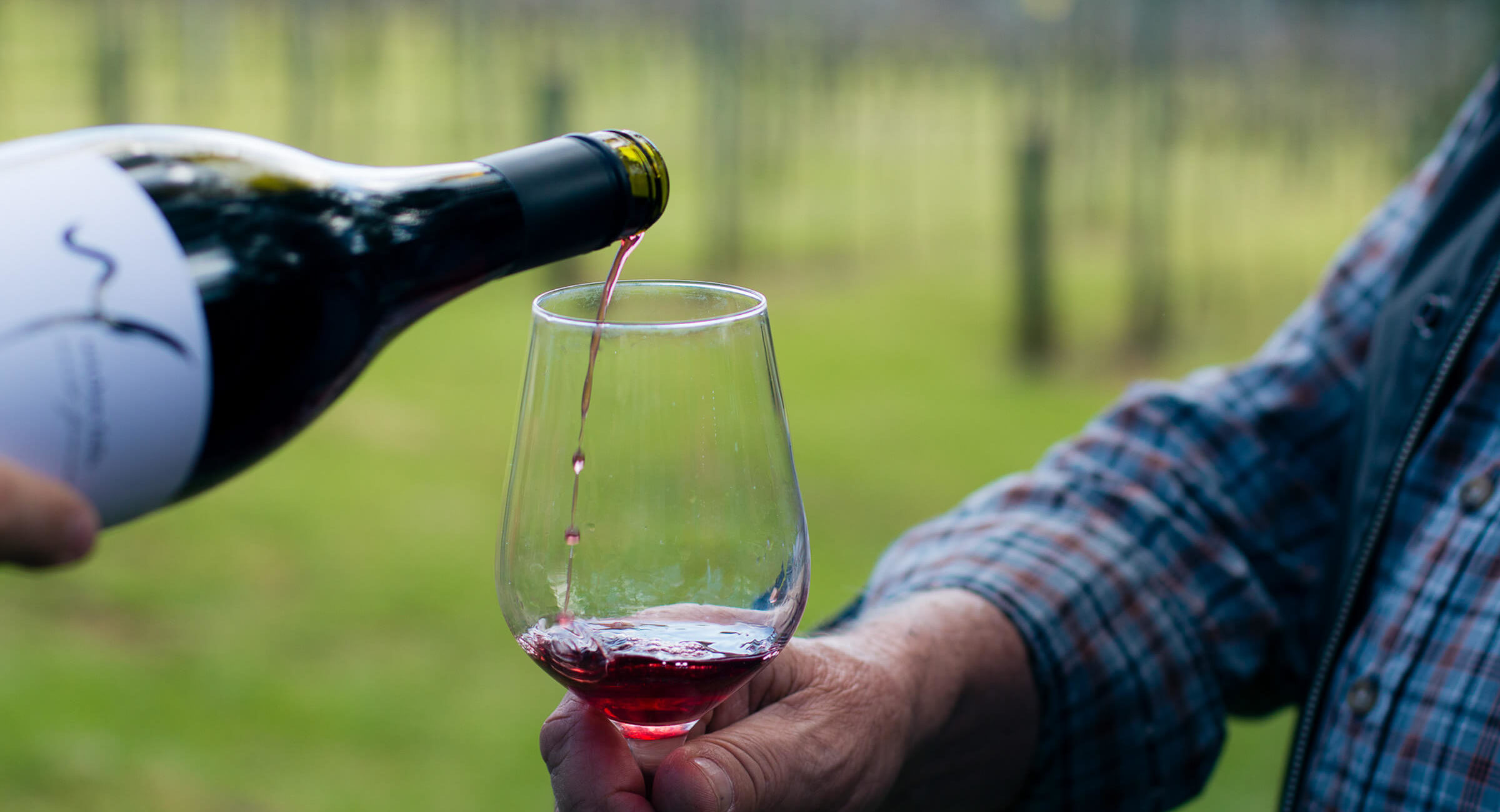 TambourineMt Header Food&D