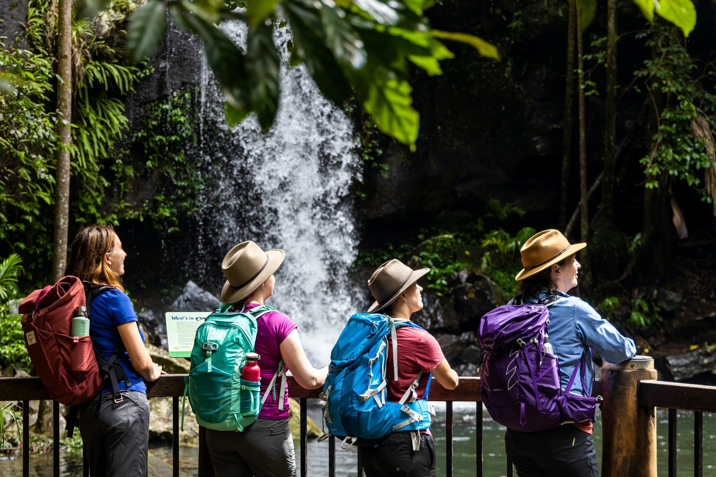 Guided Walks Scenic Rim
