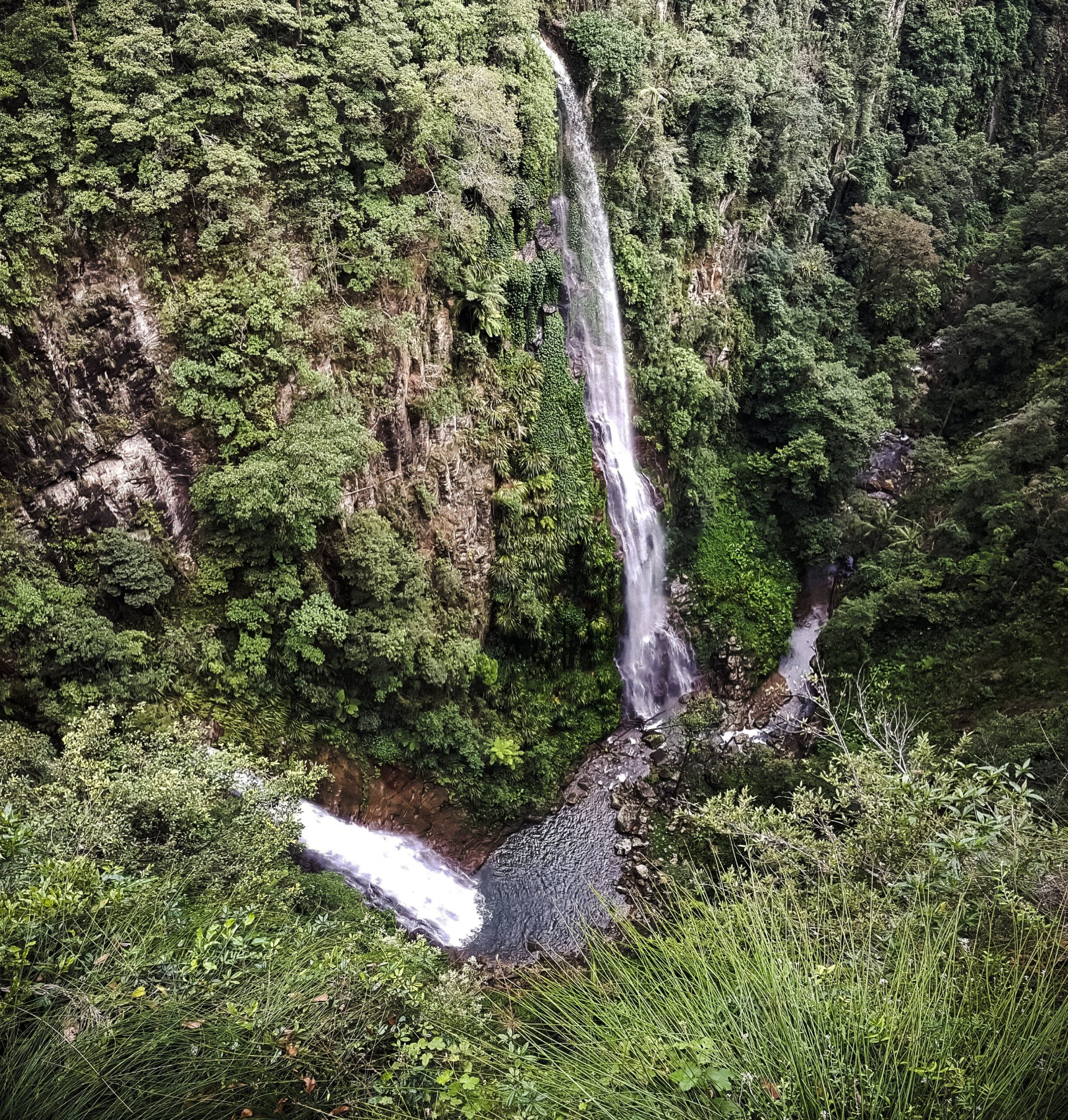 self guided hikes in Lamington National PArk