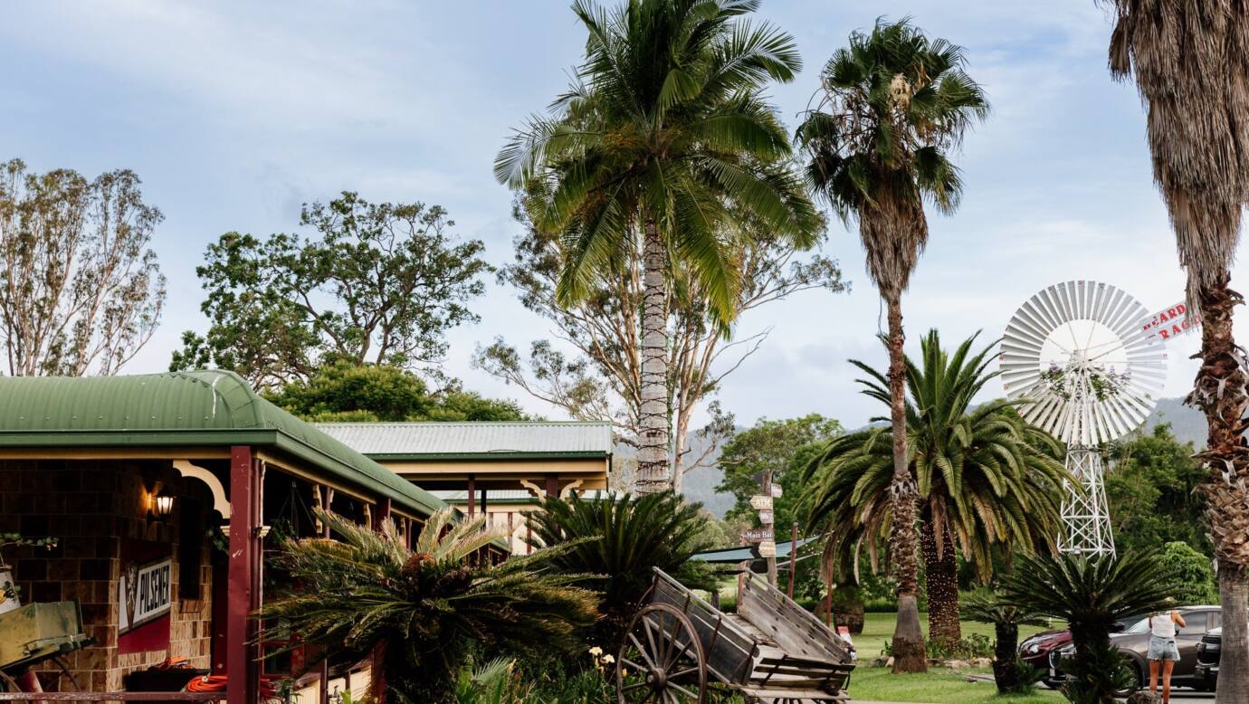 Landscape photo of bearded dragon hotel's grounds. Windmill in background. Trees and blue sky