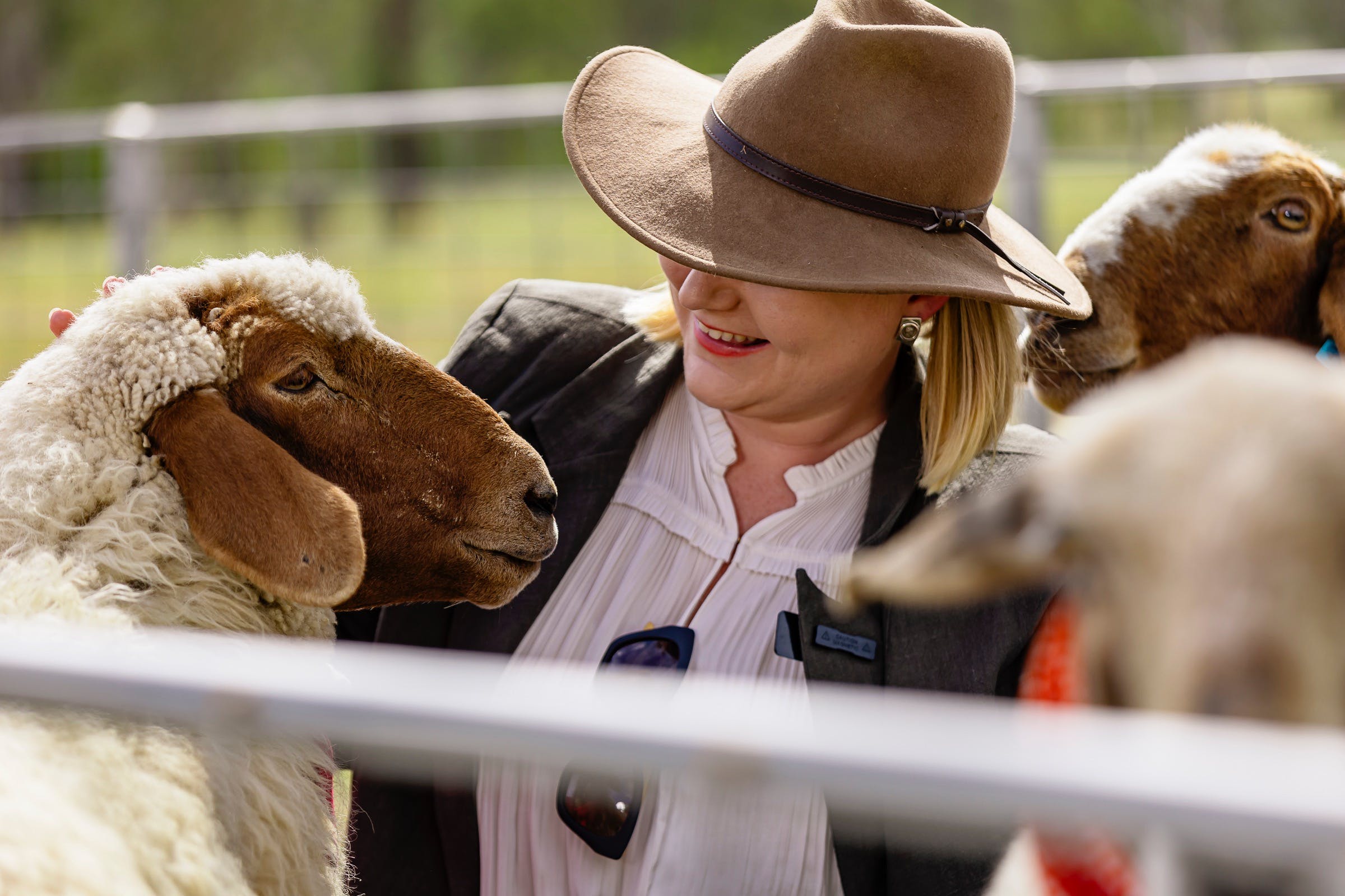 Meet our gorgeous sheep