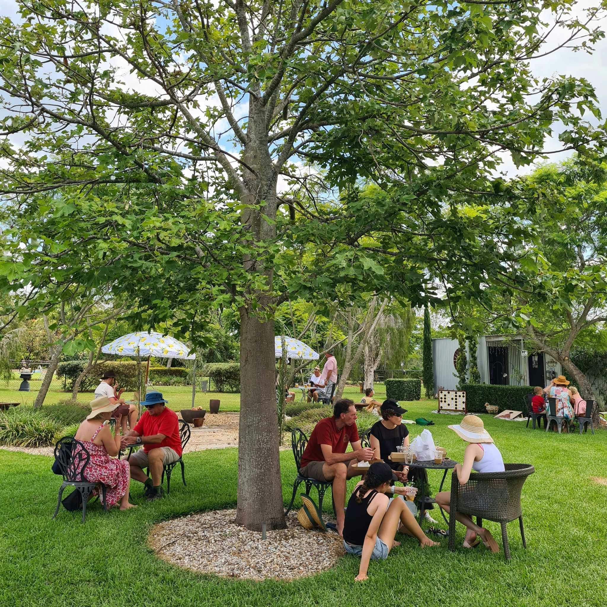 Guests enjoying Towri