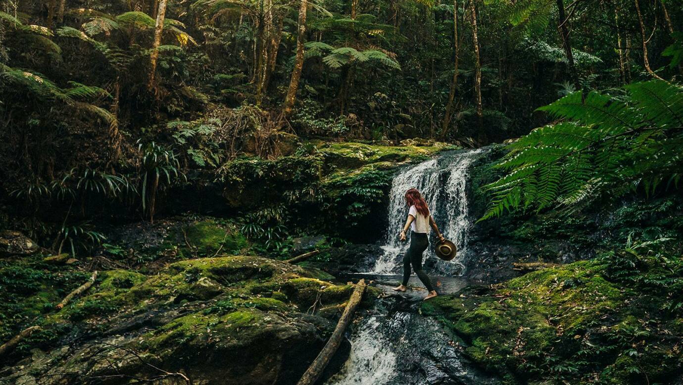 Albert River Circuit - Mirror Falls