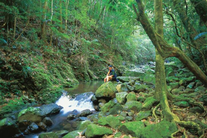 Girl sitting near creek surrounded by rainforest Lamington National Park