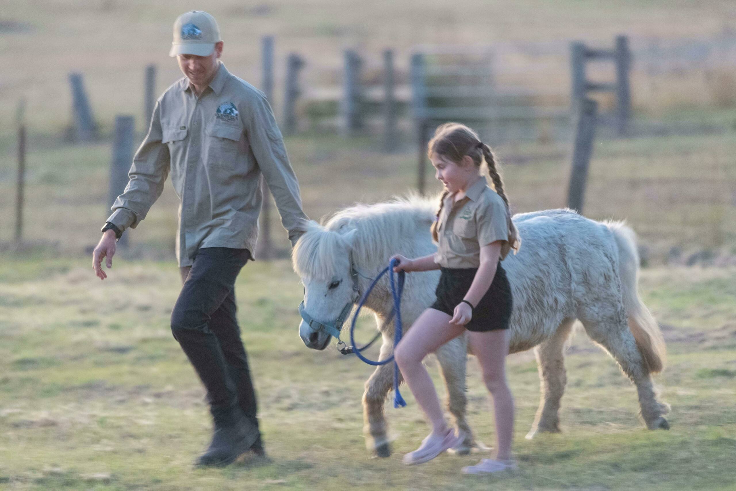 Clandulla Cottages farm tour and animal interaction