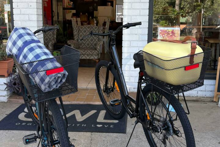 Bike Hire and Picnics