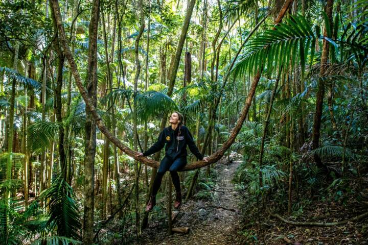 Escape To Tamborine Mountain