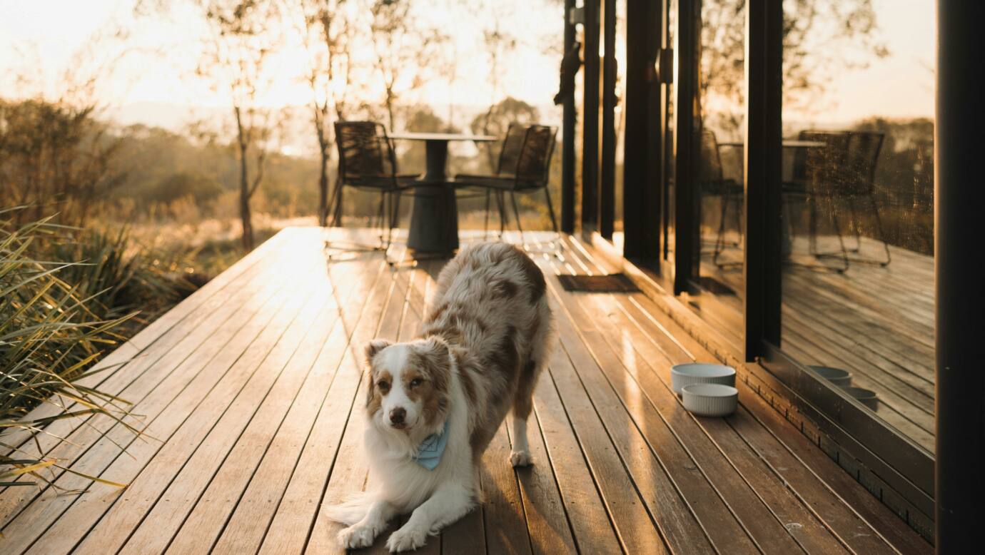 Wander in the Scenic Rim