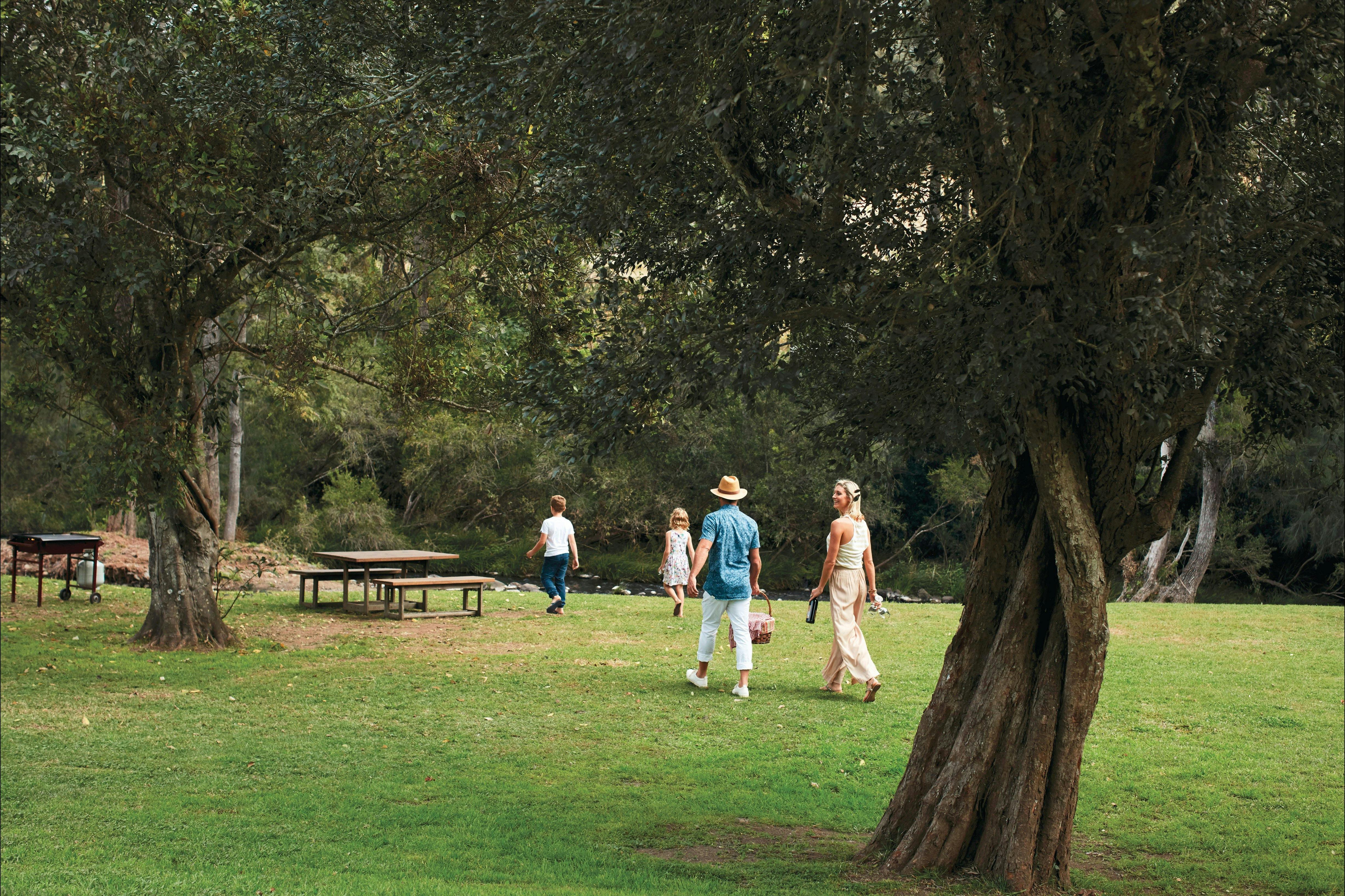Picnic and play beside Canungra Creek