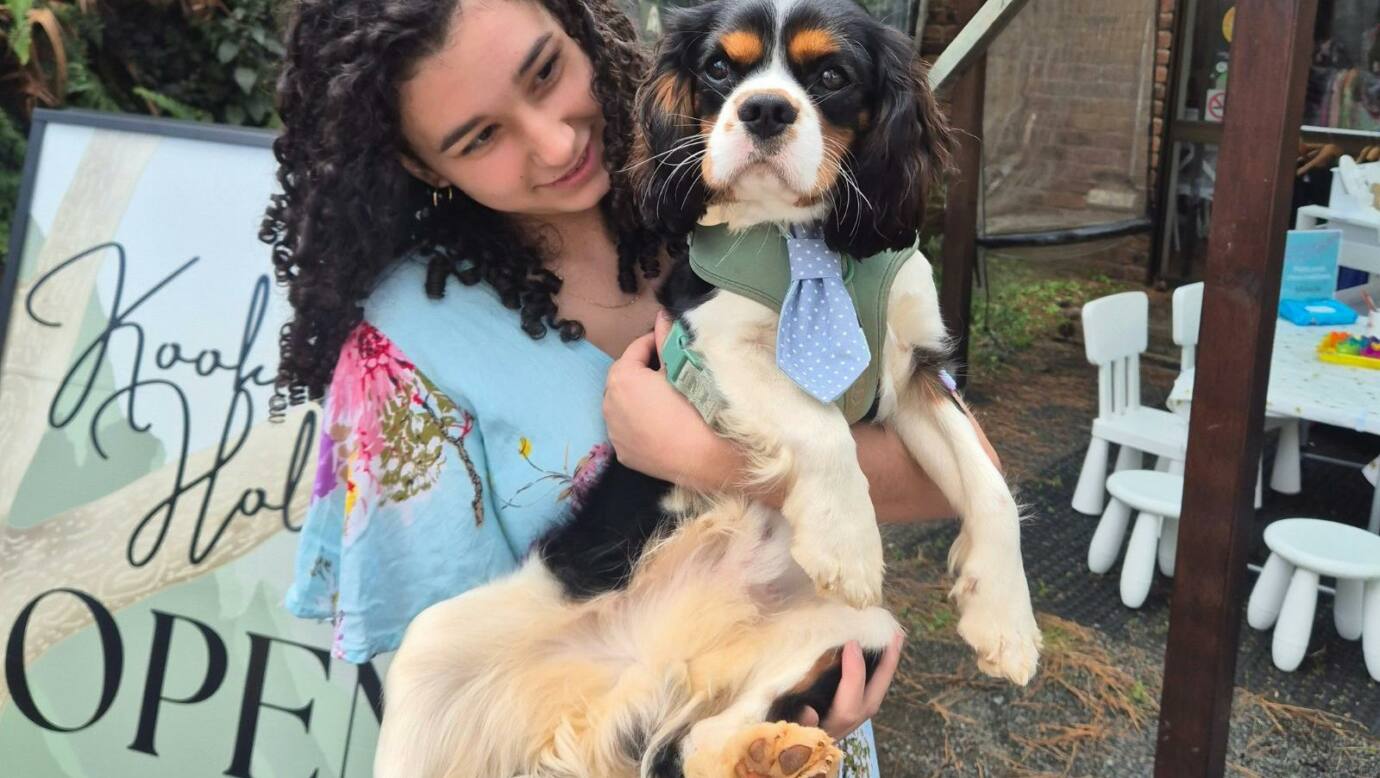A young girl holding a Cavalier King Charles Spaniel wearing a blue polka-dot tie, standing in front