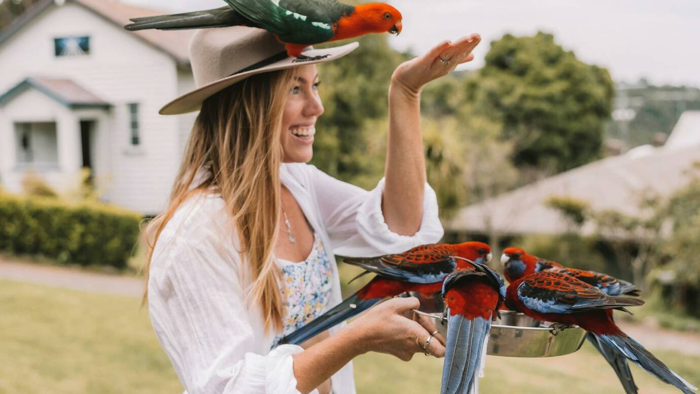 Feeding the Wild Birds at O'Reillys