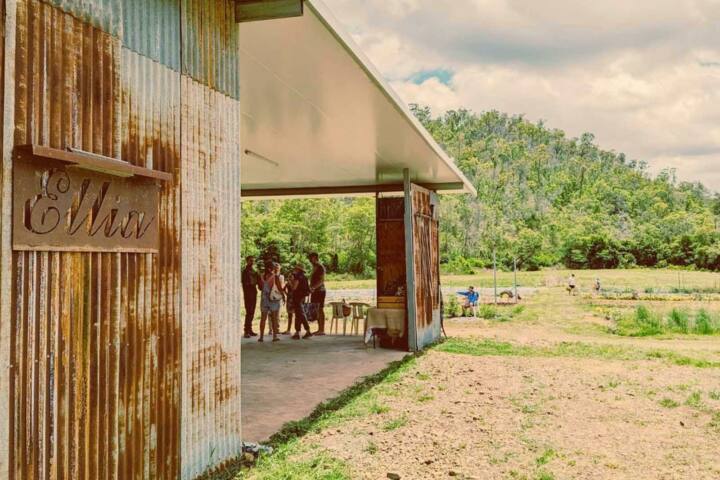 Ellia's Garden Shed/Shop