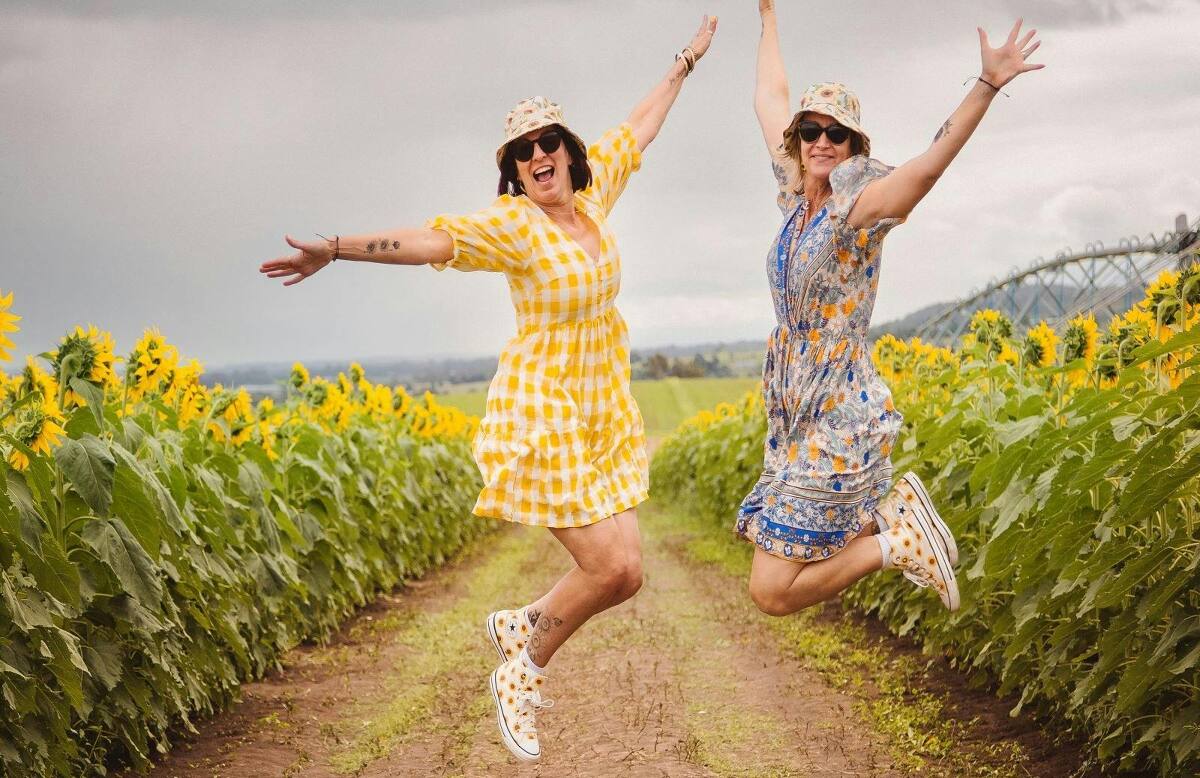 Kalbar Sunflower Festival