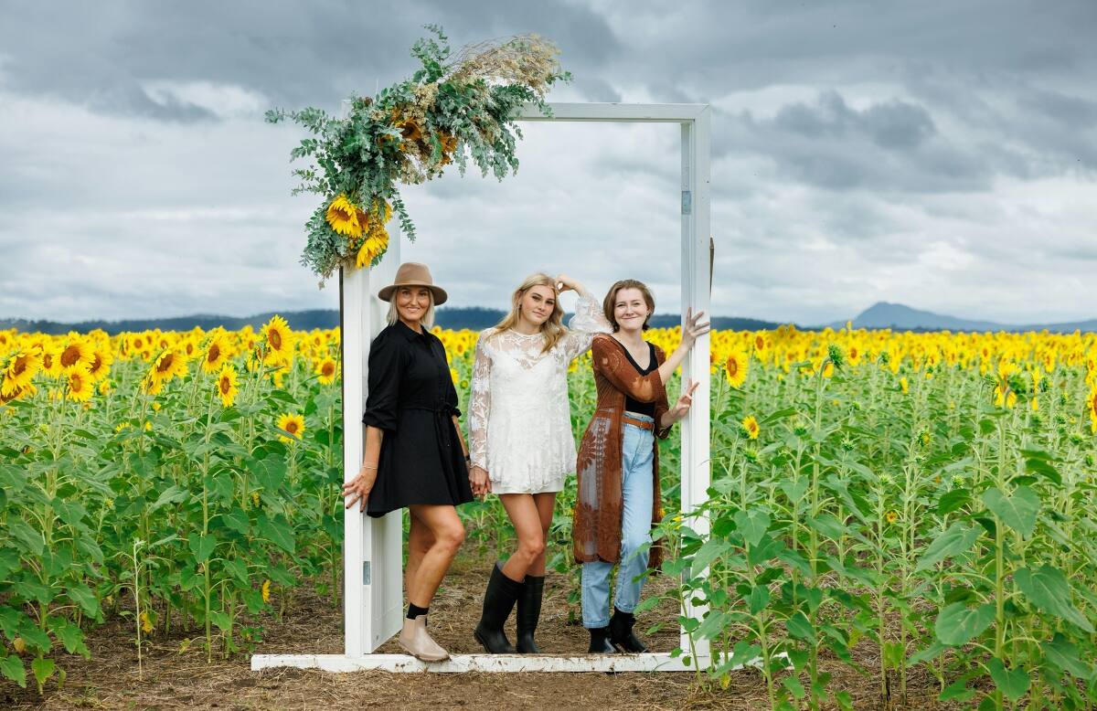 Kalbar Sunflower Festival