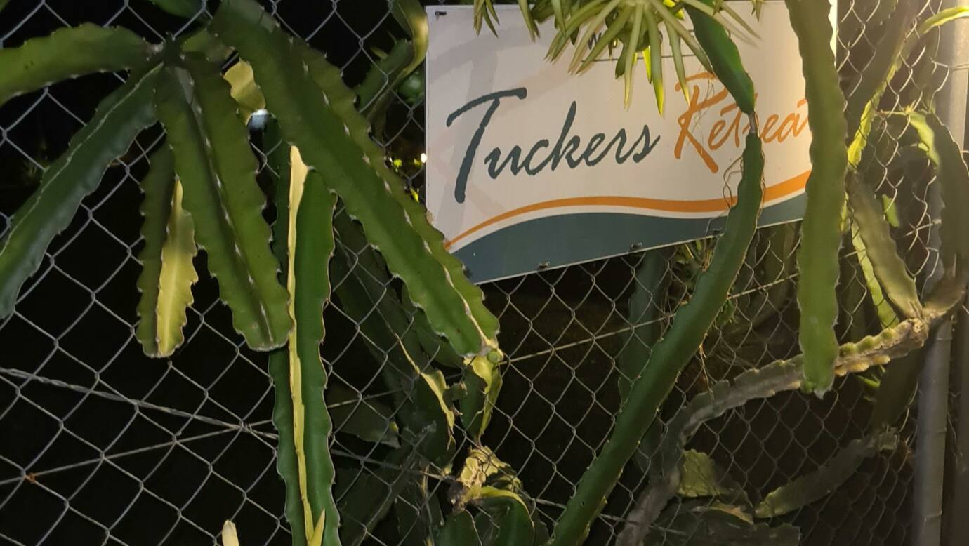 Maybe when you stay and there is a full moon you can expereicne these amazing blossoms in flower.