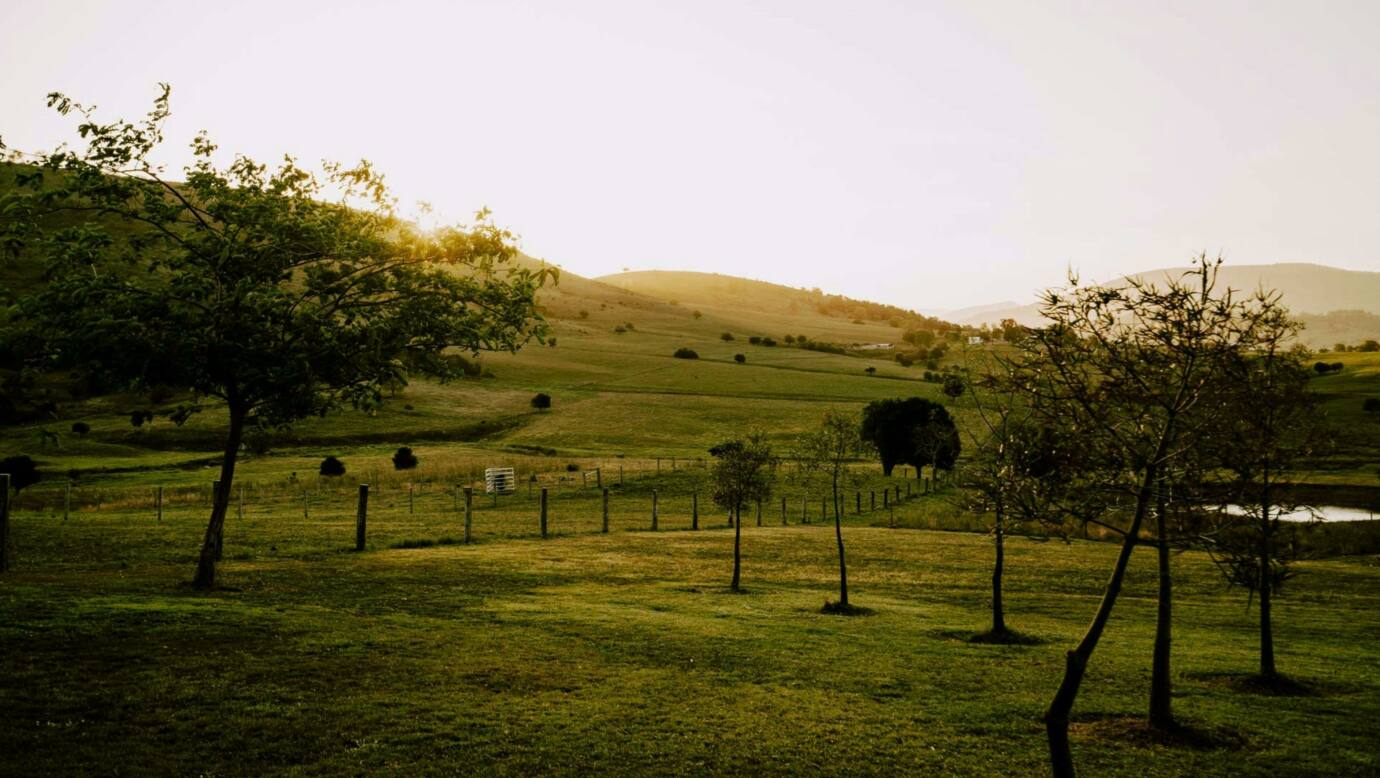 Milford Country Cottages