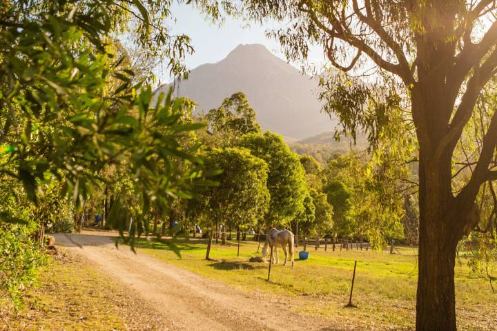 Mt Barney Lodge Eco Retreat