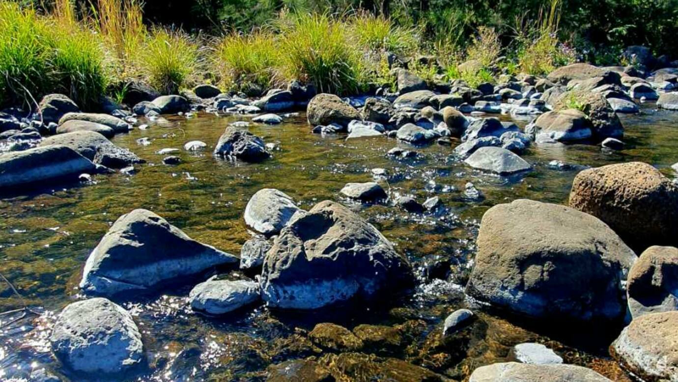 Illinbah Glamping off grid .
