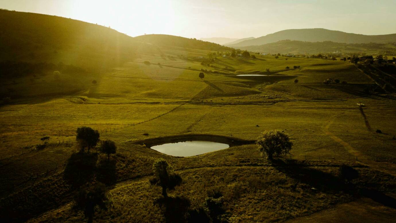 Milford Country Cottages