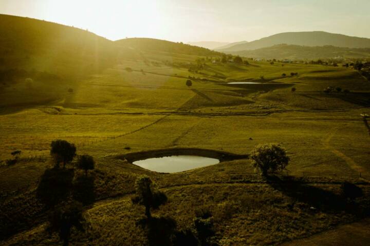 Milford Country Cottages
