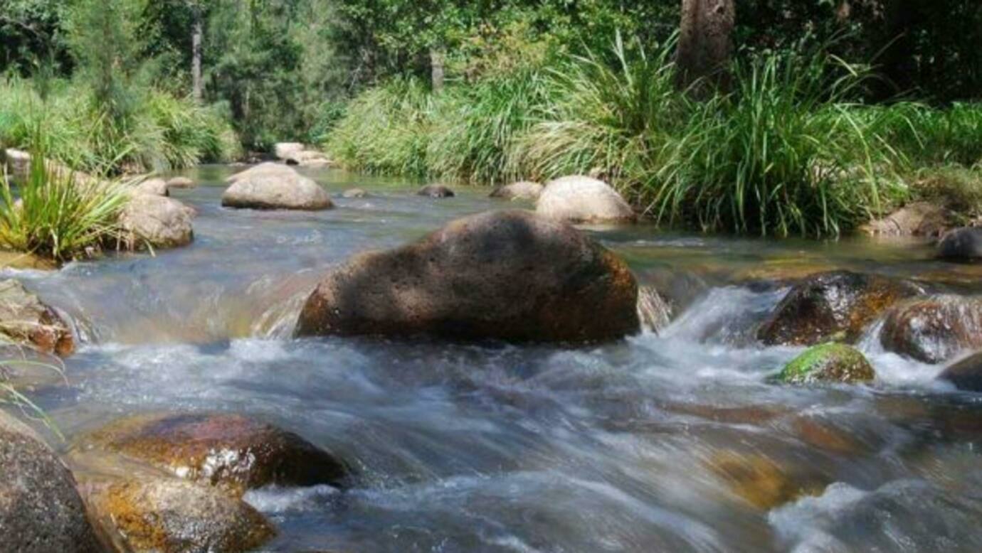 Mt Barney Lodge Eco Retreat