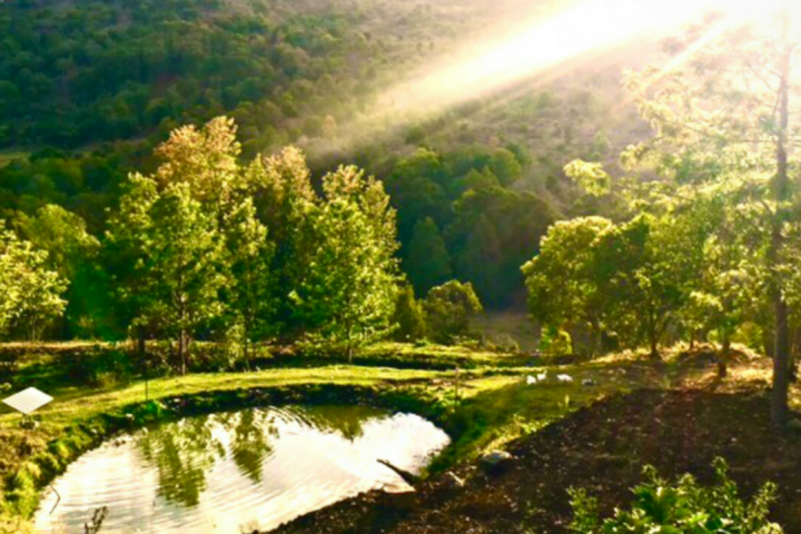 The Bush Clinic, Hinterland Retreat