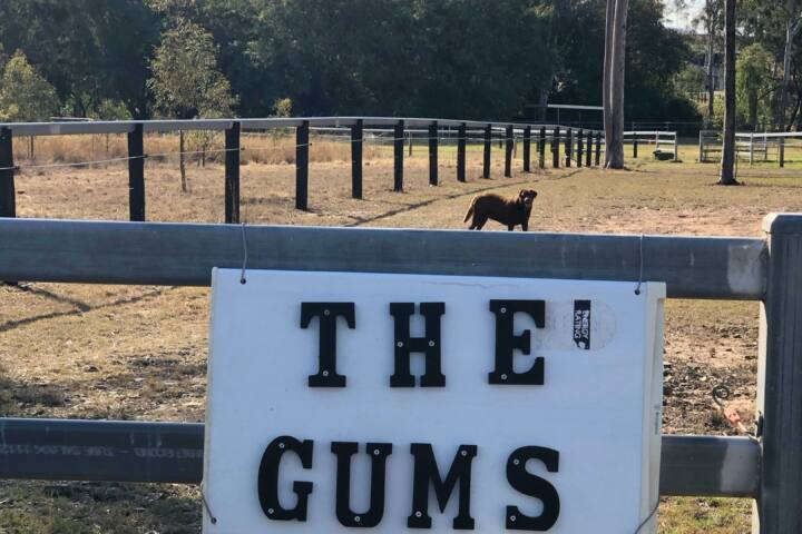 ENTRANCE to the camp sites from Cunningham highway gateway.