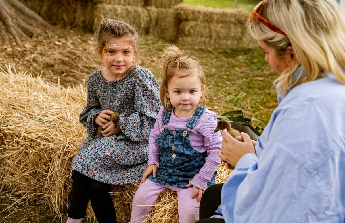 Scenic Rim's Winter Harvest Festival