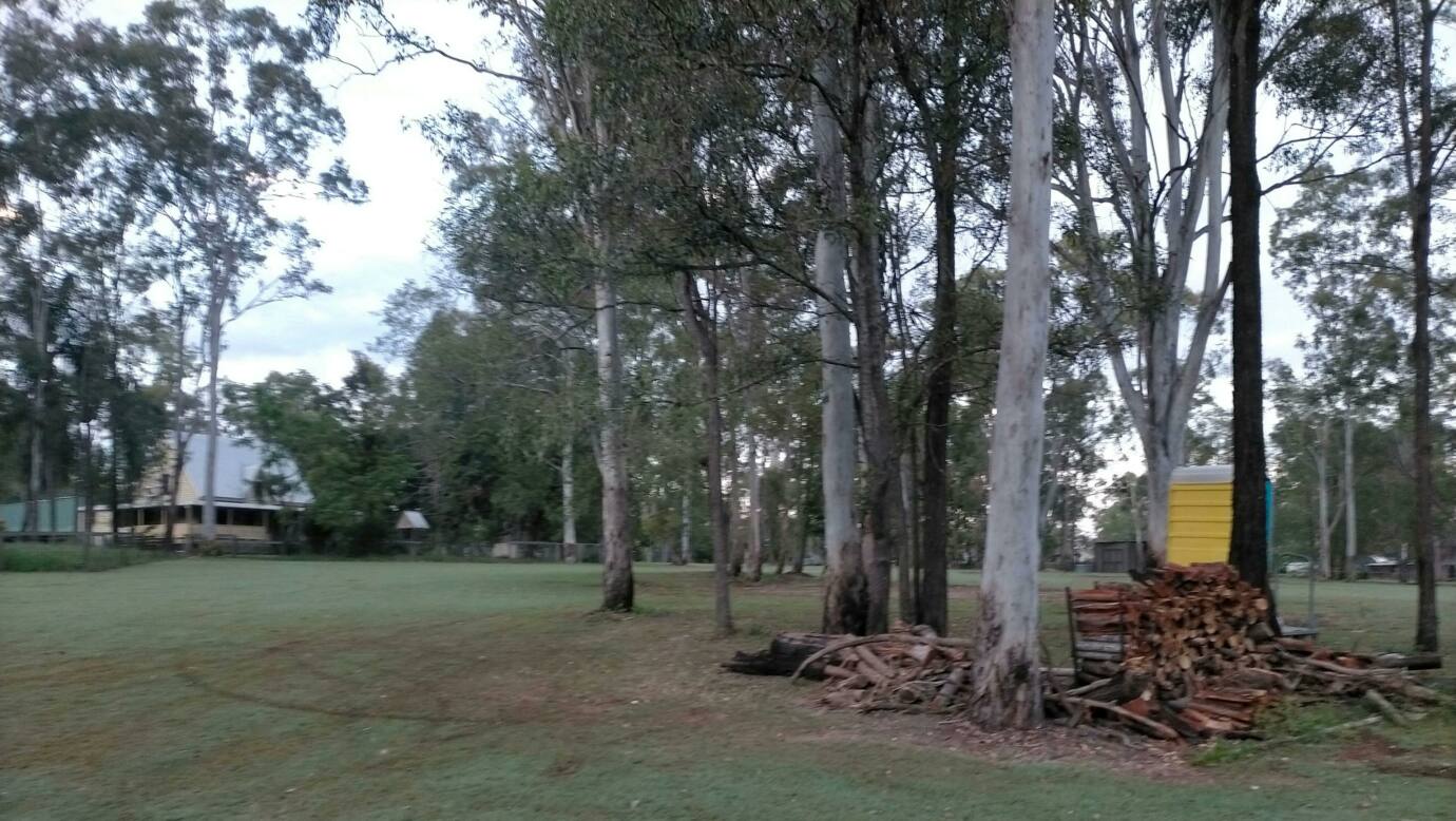 No cowpoo in our paddock... lol
