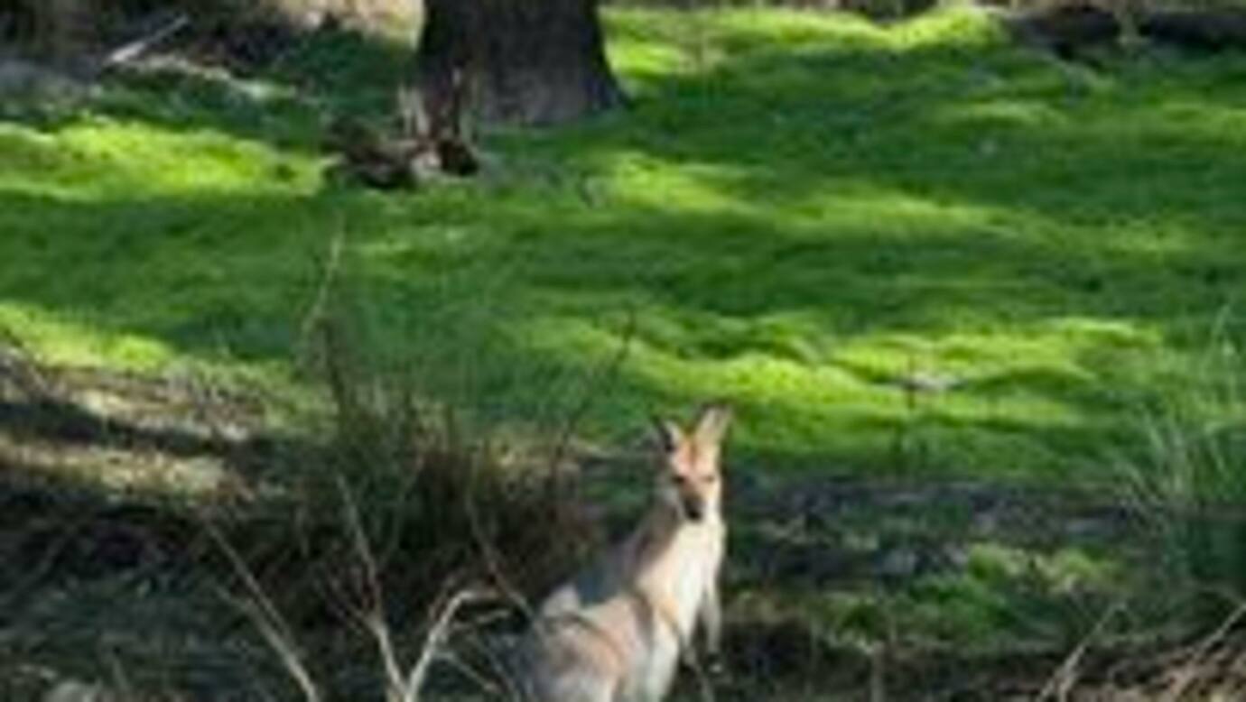 Pointro Bunkhouse and Campground