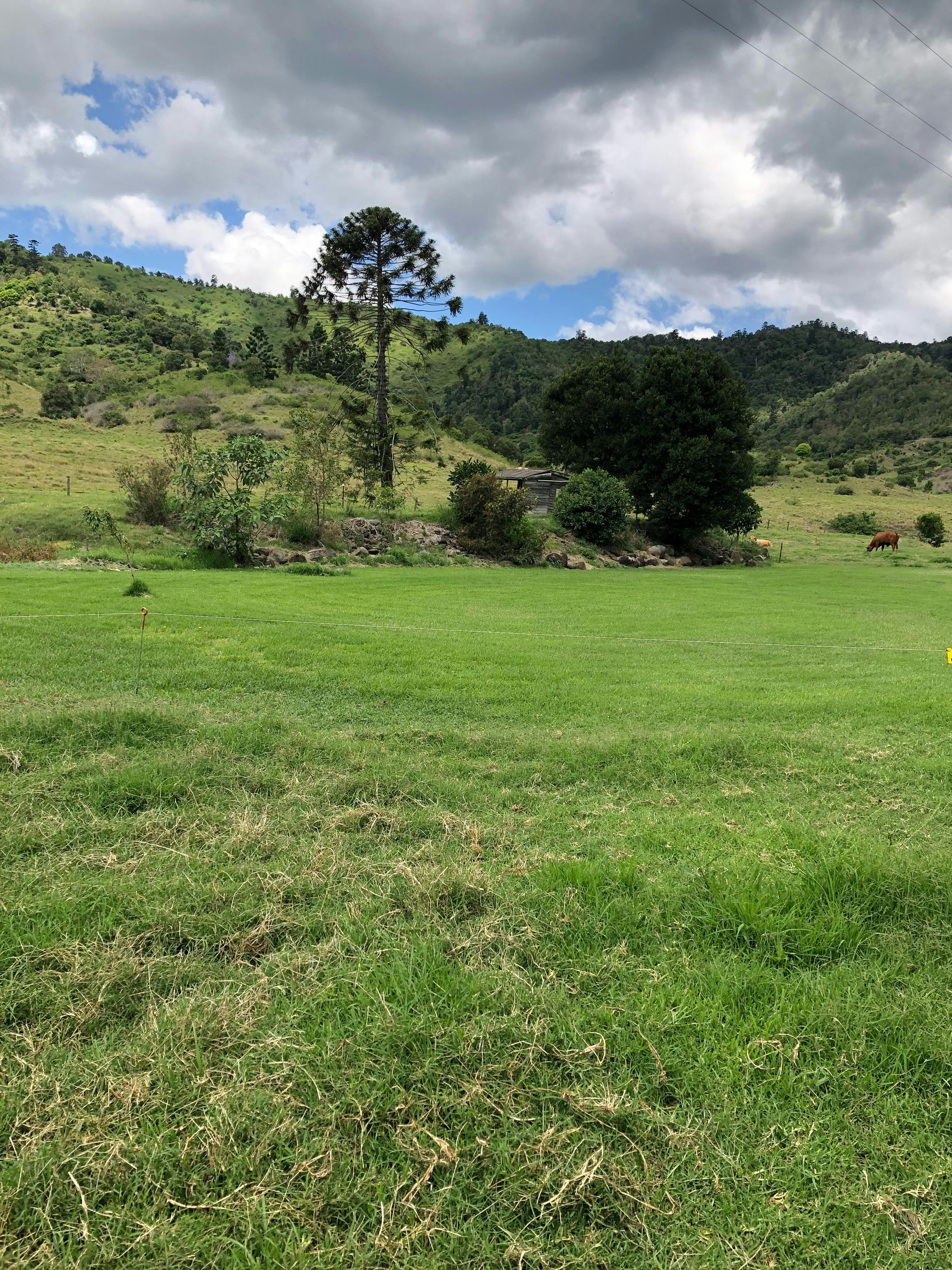 The Old Hut campsite-flat and grassed all year round