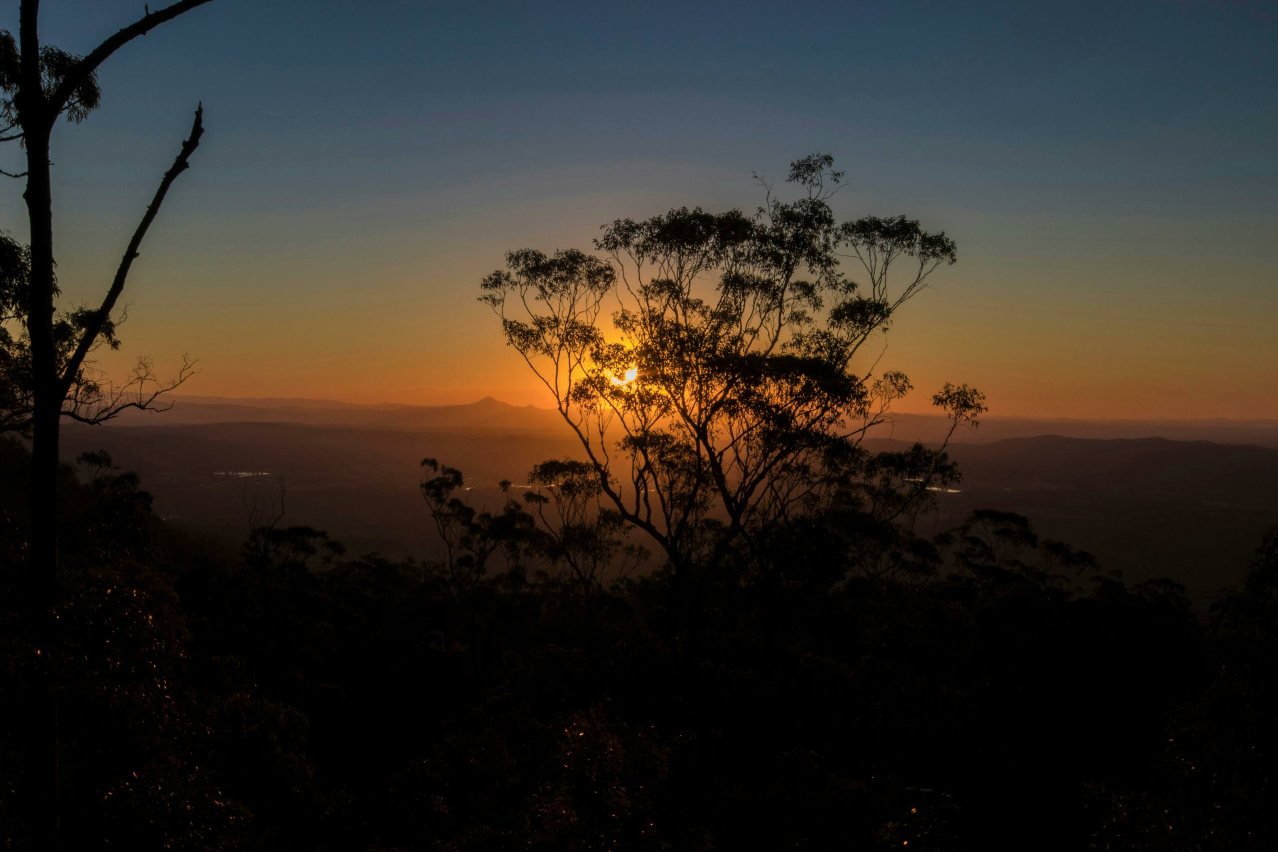 Escape To Tamborine Mountain