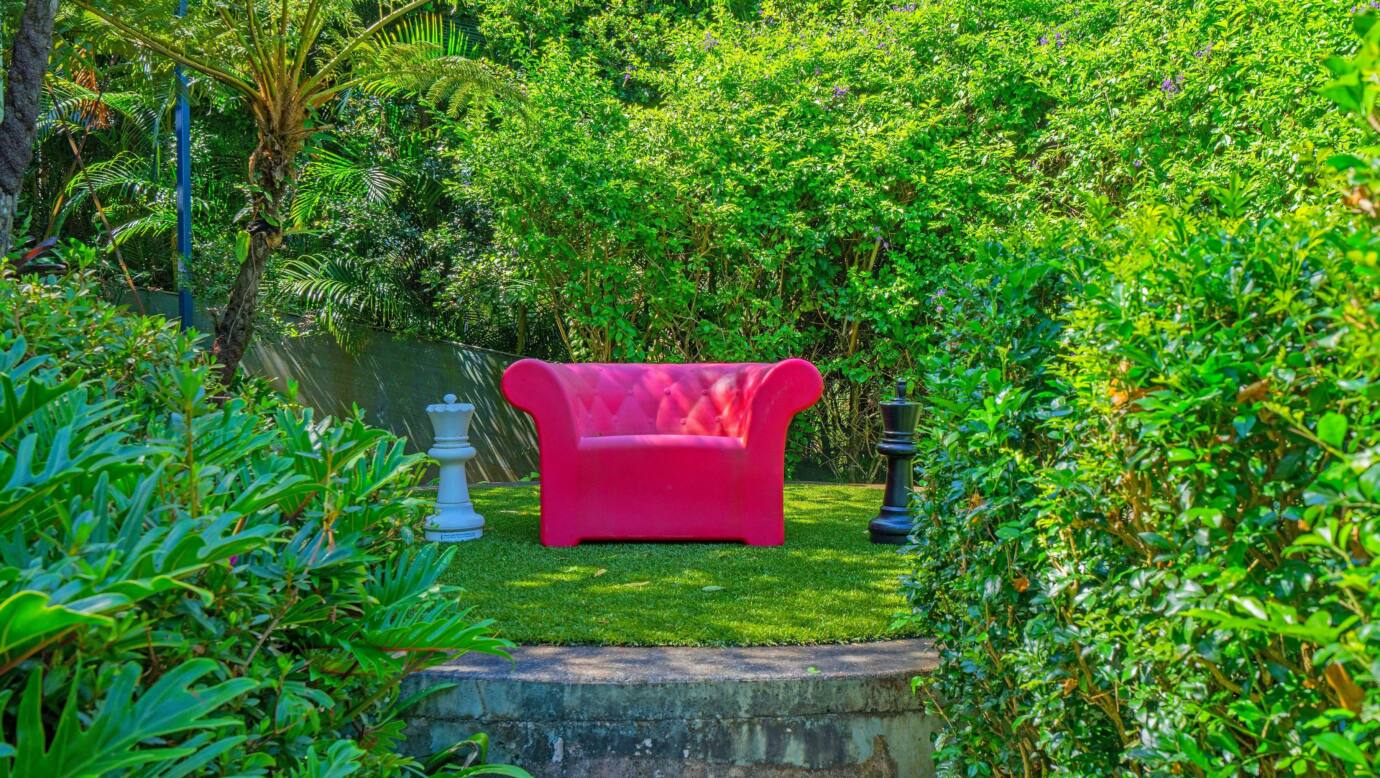 Explore the garden with its majestic tallowwood  pathways and hedge rows, rainforest and roses