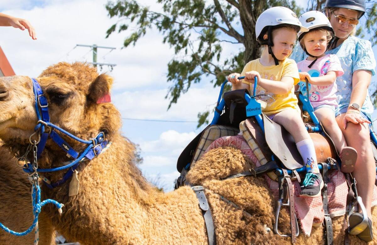Winter Markets - Summer Land Camels