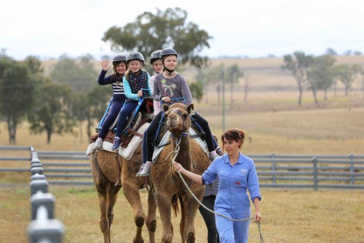 Little Farmer Humpty Day - Kids Event