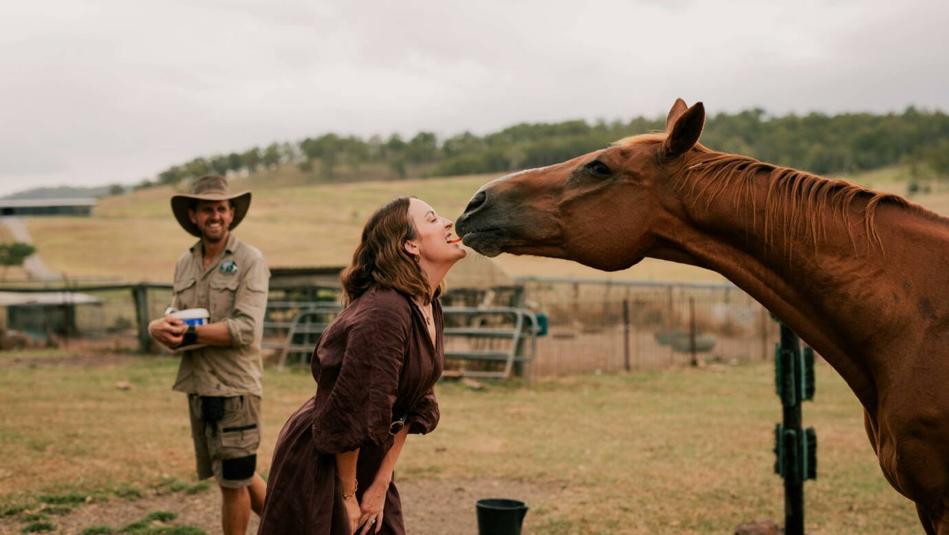 Clandulla Cottages, family friendly farmstay, Scenic Rim, 1hr drive from Brisbane and Gold Coast