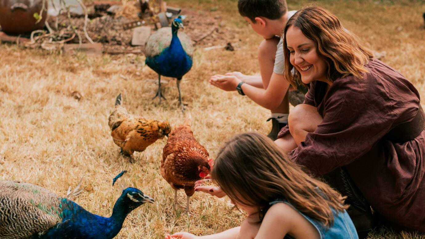 Clandulla Cottages, family friendly farmstay, Scenic Rim, 1hr drive from Brisbane and Gold Coast