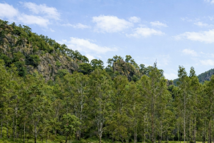 Barney View Bush Camping